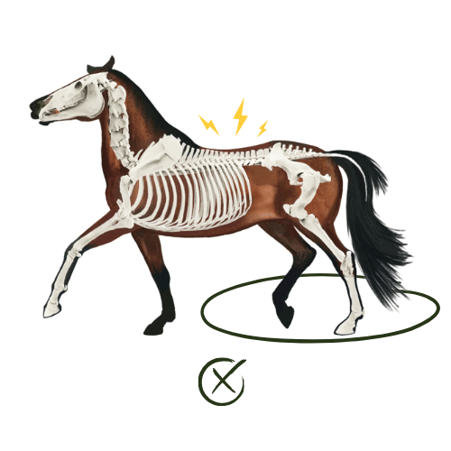 Blockaden beim Pferd