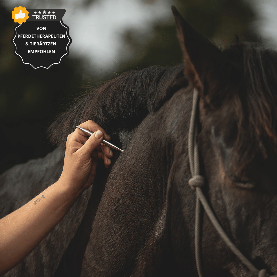 EquiStäbchen: Your horse therapist and acupressure stick (2 pieces)