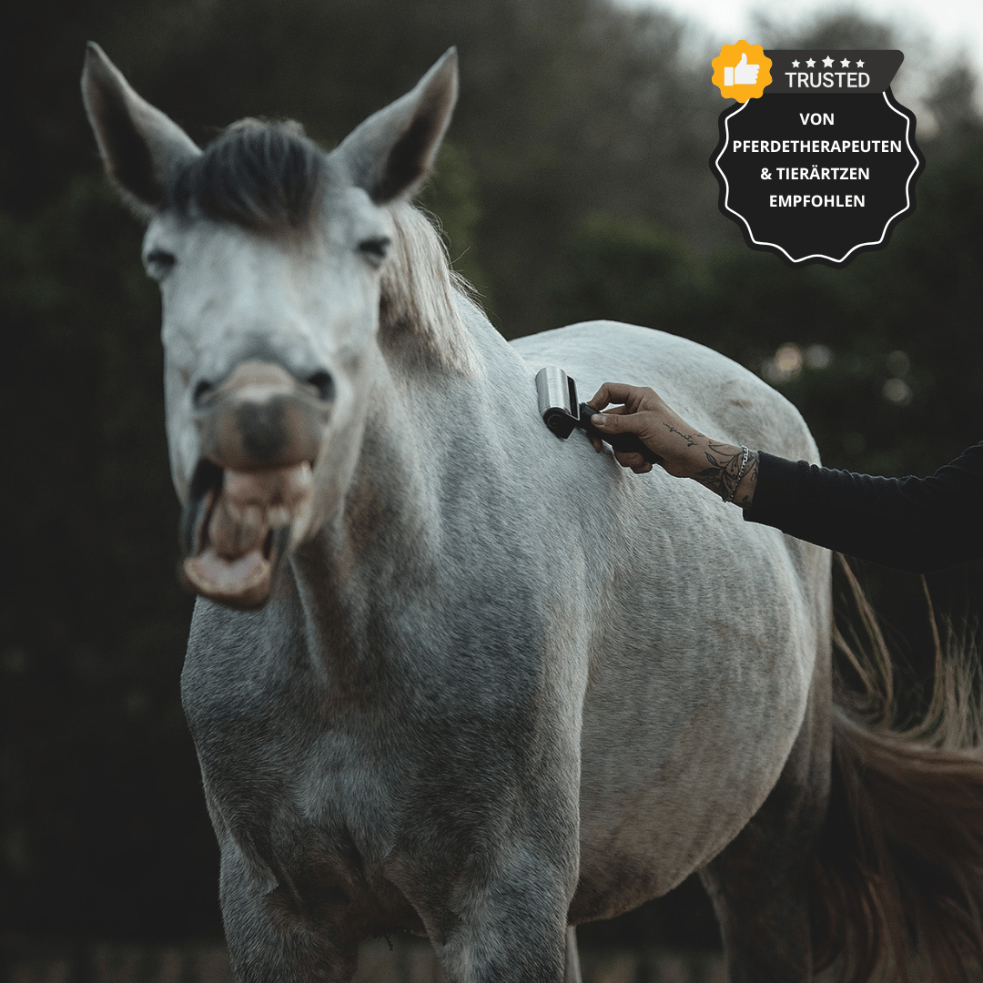 NeedleyRoll Faszienrolle – Für Pferde und Kleinpferde entwickelt