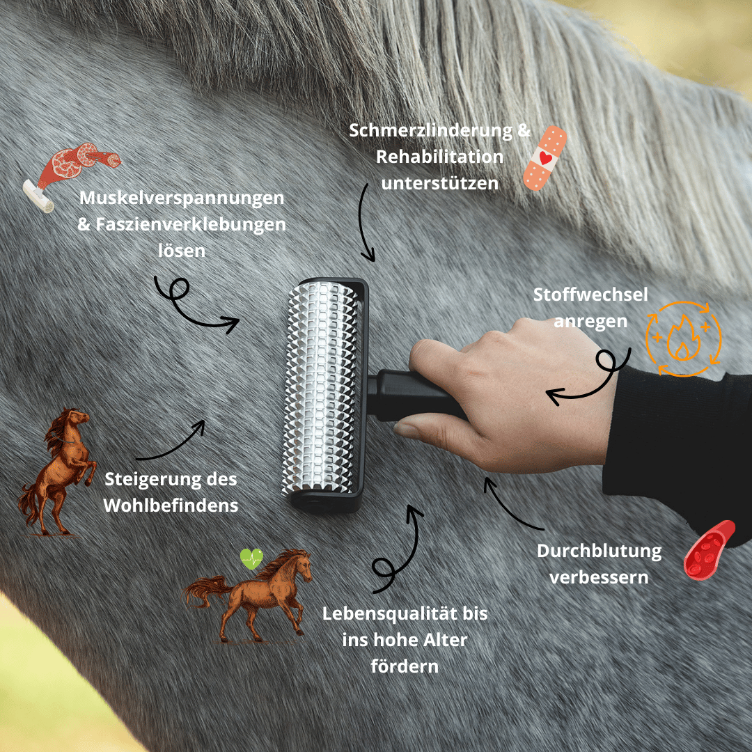 NeedleyRoll & Muskel Faszien Öl