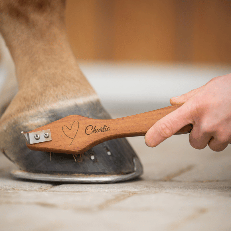 Horse Zone Beauty Bundle