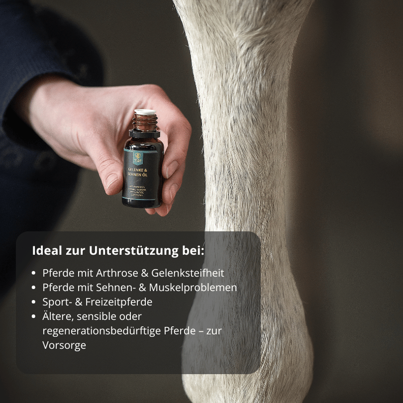 Gelenke- & Sehnen Öl für Pferde 15ml