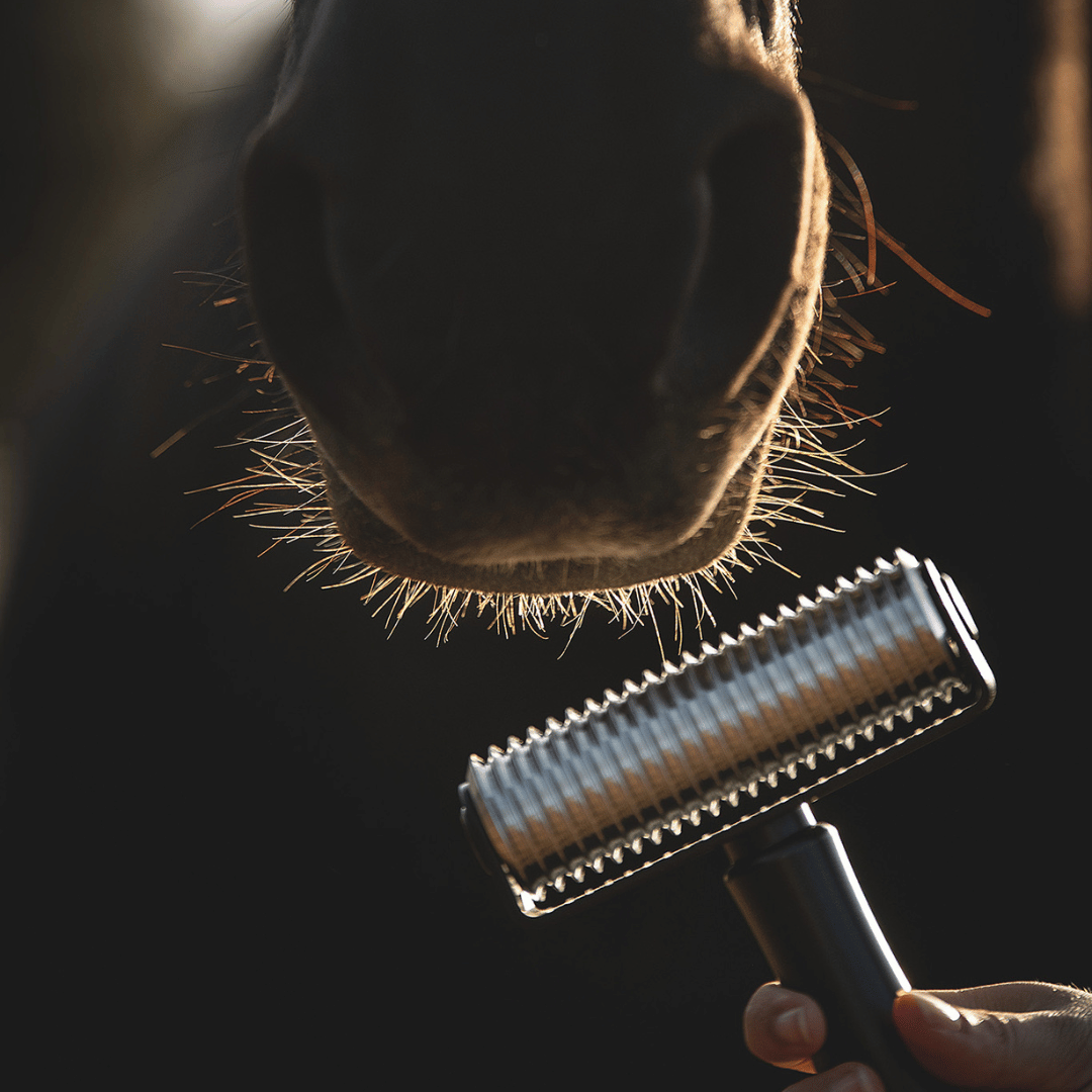 NeedleyRoll Fascia Roller Sensitive – Pour chevaux et petits chevaux