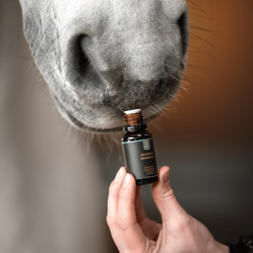 Gelenke- & Sehnen Öl für Pferde 15ml