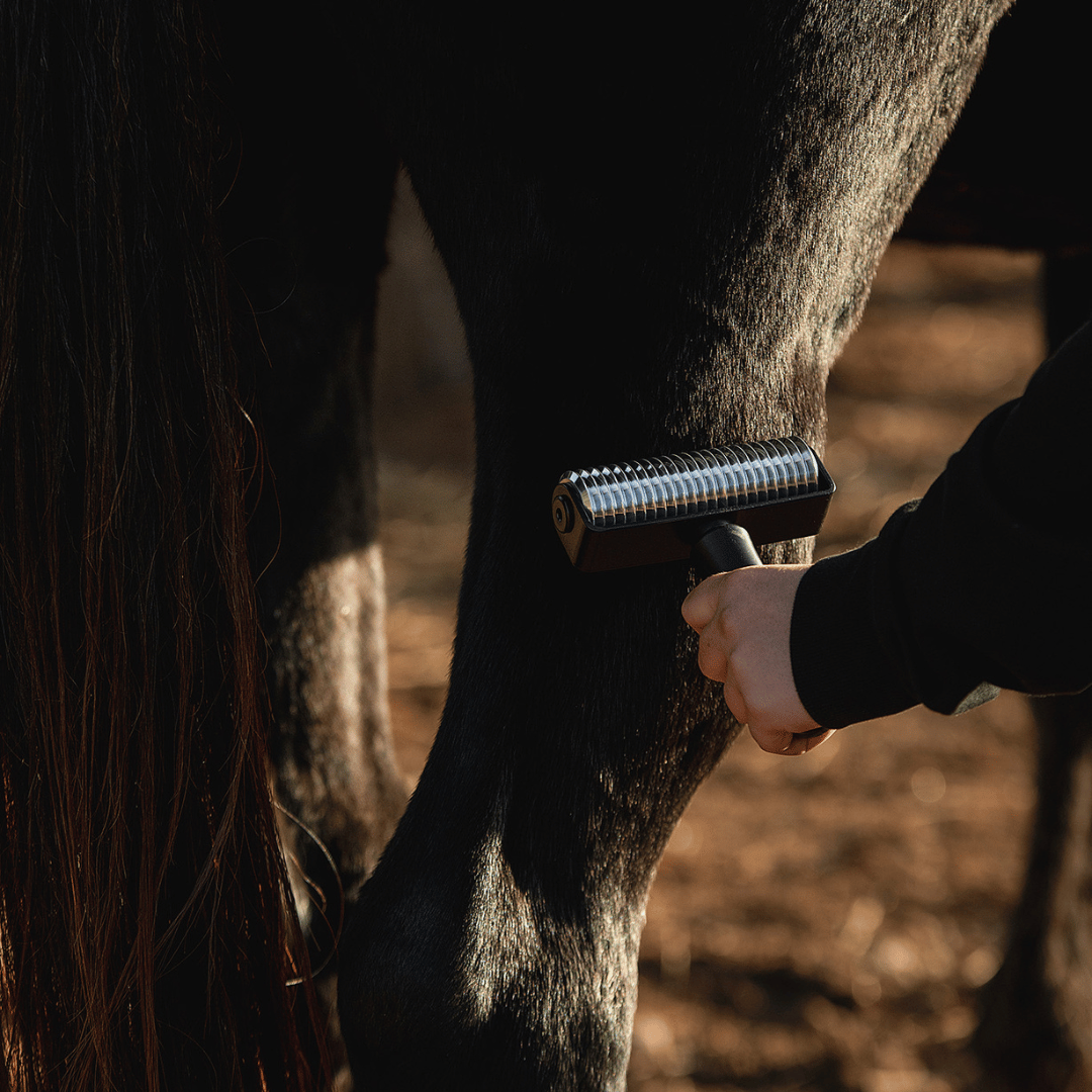 NeedleyRoll Fascia Roller Sensitive – Pour chevaux et petits chevaux