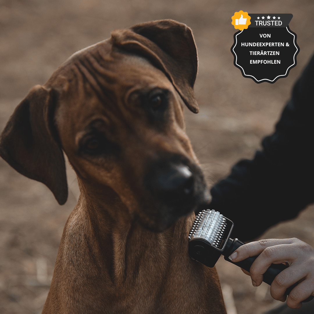 NeedleyRoll Mini Faszienrolle – Perfekt für Kleinpferde & Hunde