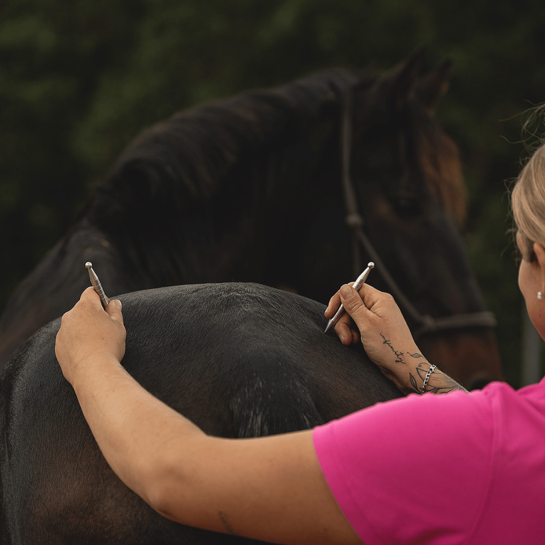 EquiStäbchen : Votre thérapeute équin et bâton d'acupression (2 pièces)