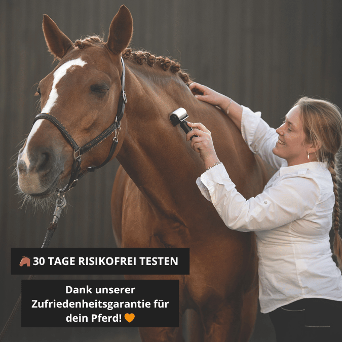 NeedleyRoll Fascia Roller Sensitive – Pour chevaux et petits chevaux