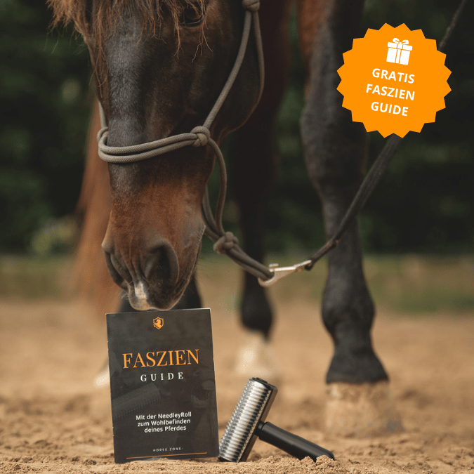 NeedleyRoll Fascia Roller Sensitive – For horses and small horses