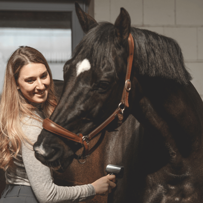 NeedleyRoll Fascia Roller Sensitive – Pour chevaux et petits chevaux