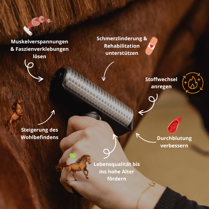 NeedleyRoll Fascia Roller Sensitive – Pour chevaux et petits chevaux