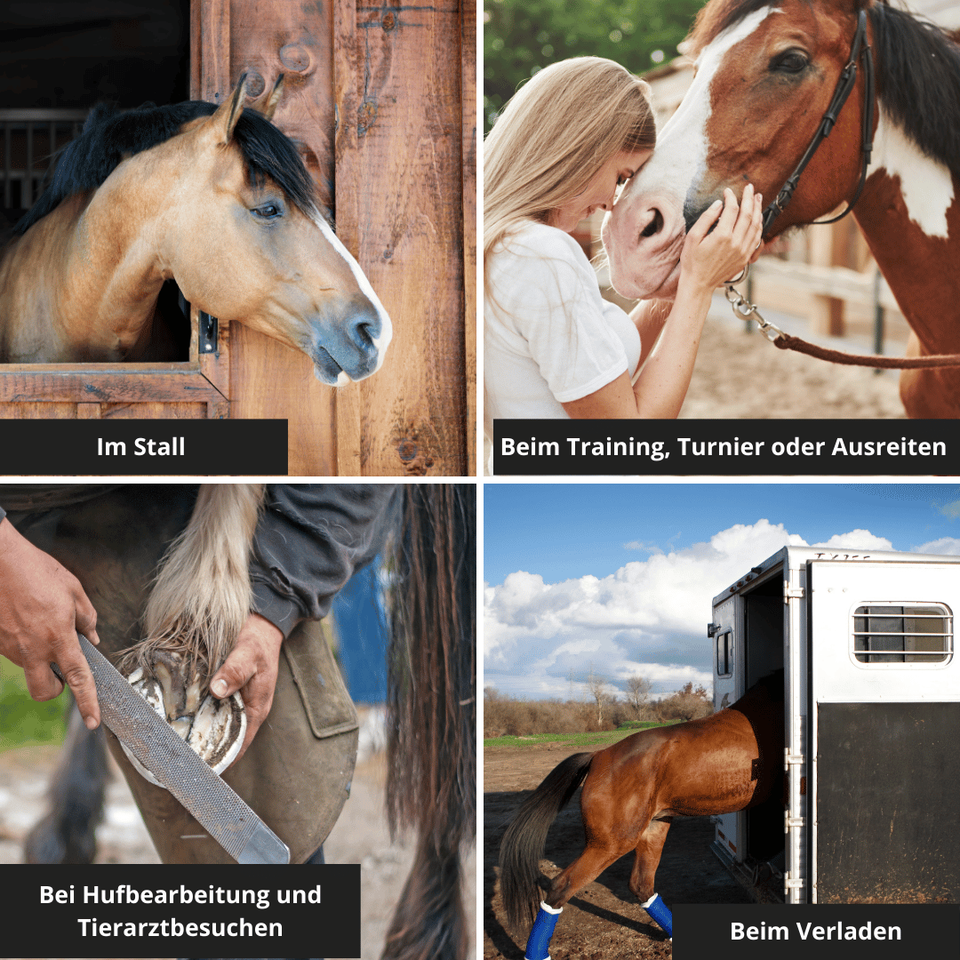 HORSE ZONE Entspannungsspray für Pferde – mit 100 % naturreinen ätherischen Ölen