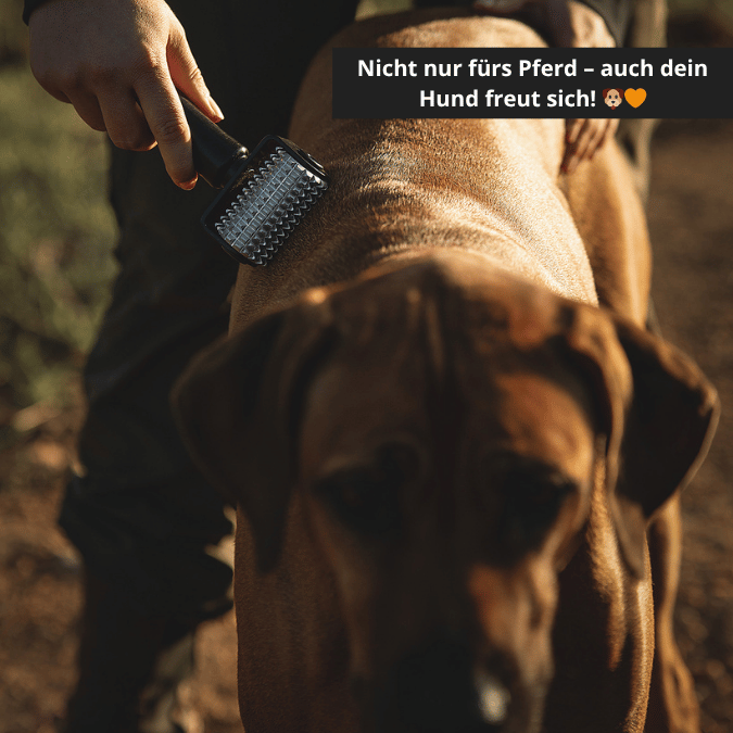 NeedleyRoll Mini Fascia Roller – Parfait pour les petits chevaux et les chiens