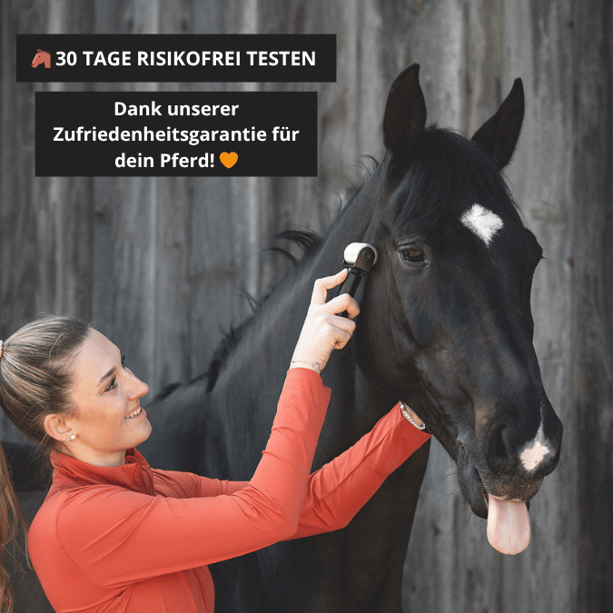 NeedleyRoll Faszienrolle Sensitive Mini – Perfekt für Kleinpferde & Hunde