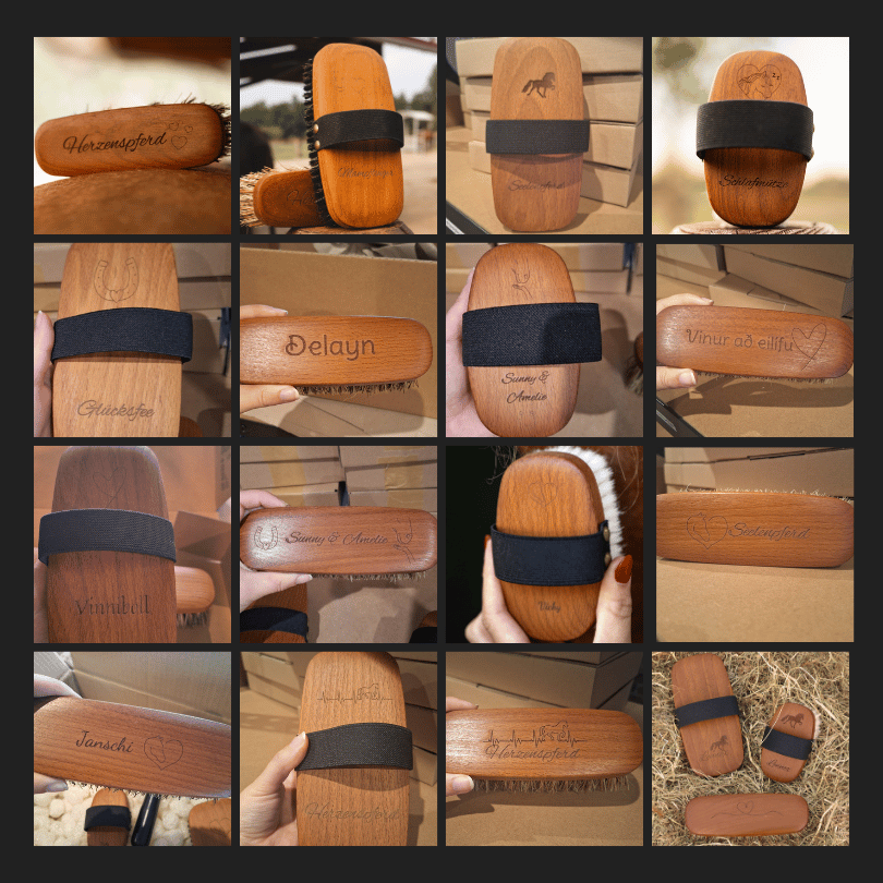 Horse Zone Beauty Bundle