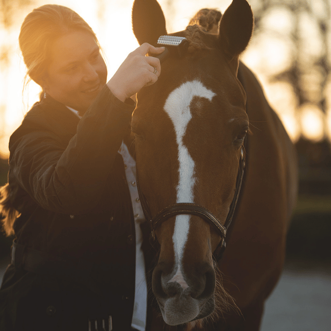 NeedleyRoll Mini Fascia Roller – Perfect for small horses & dogs