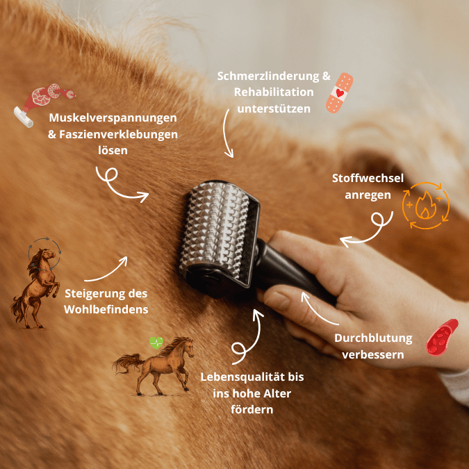 NeedleyRoll Mini Faszienrolle – Perfekt für Kleinpferde & Hunde