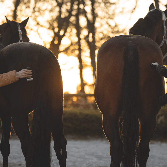 NeedleyRoll Fascia Roller Sensitive Mini – Parfait pour les petits chevaux et les chiens