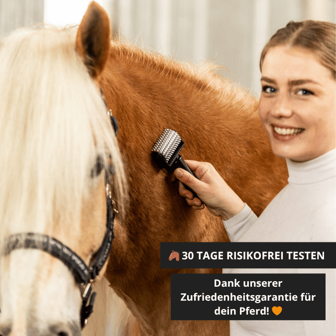 NeedleyRoll Mini Faszienrolle – Perfekt für Kleinpferde & Hunde