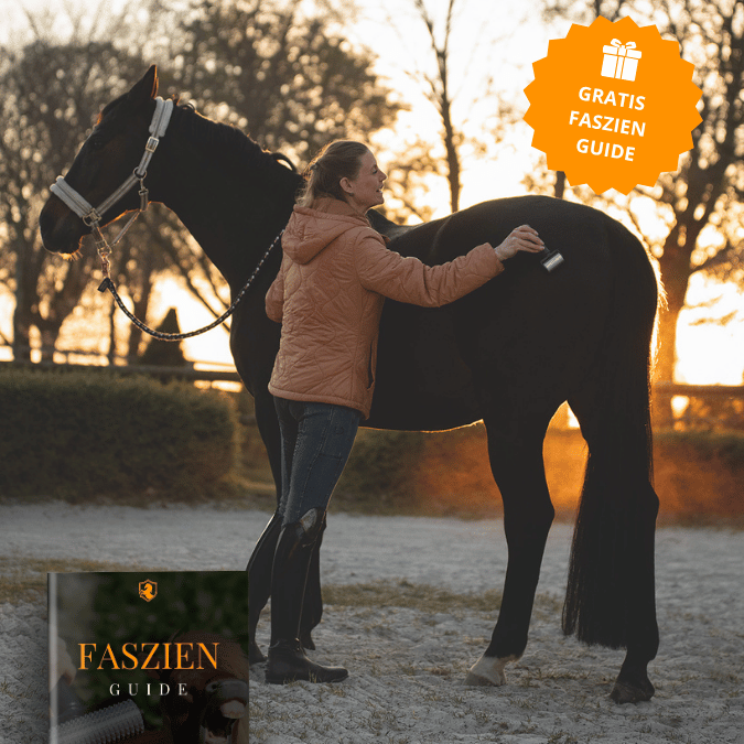 NeedleyRoll Faszienrolle Sensitive Mini – Perfekt für Kleinpferde & Hunde