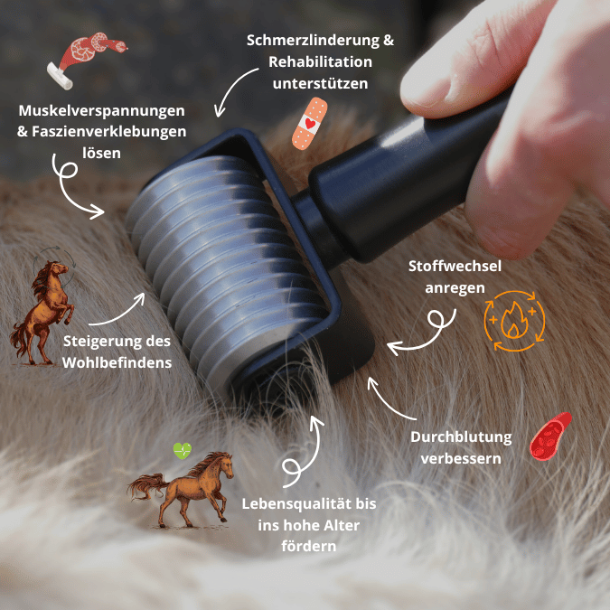 NeedleyRoll Fascia Roller Sensitive Mini – Parfait pour les petits chevaux et les chiens