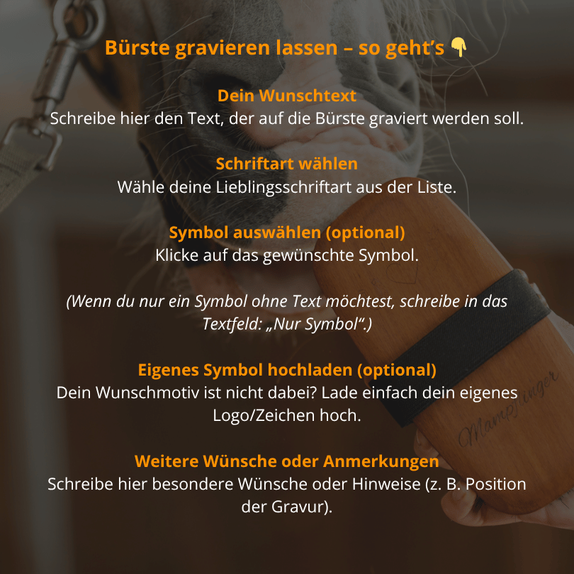 Personalisierte 2-in-1 Rosshaar Kardätsche Premium