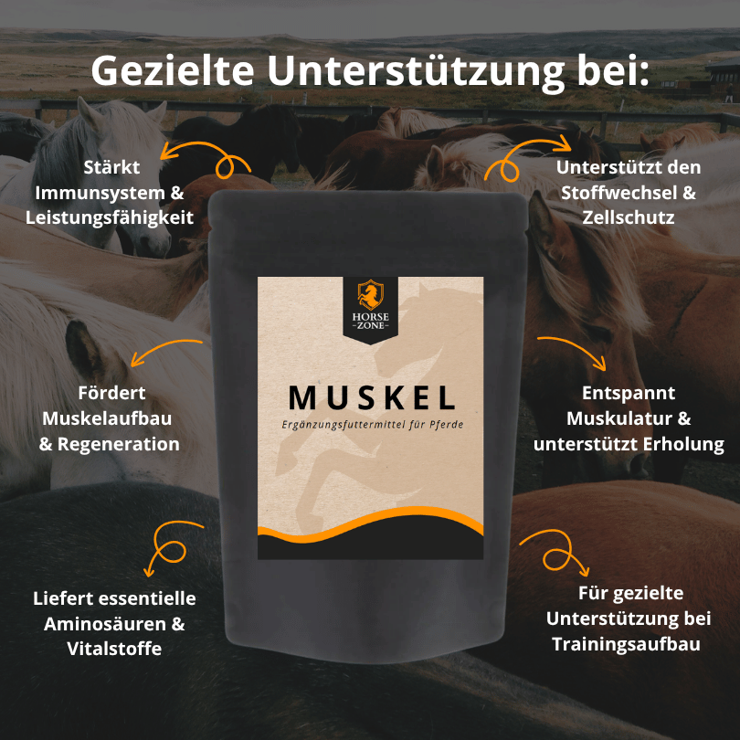 MUSKEL - Ergänzungsfutter für Pferde 1kg