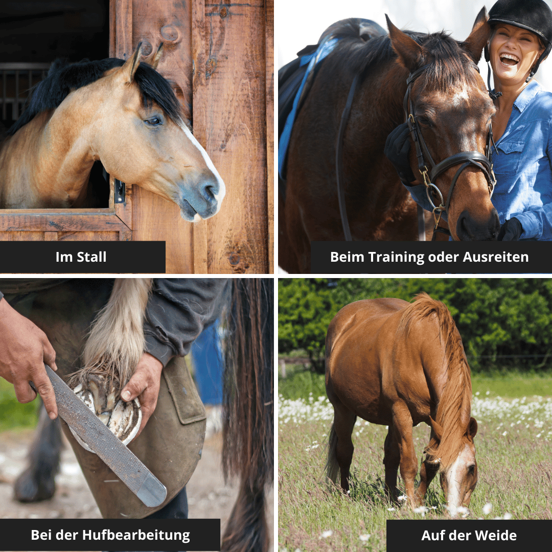HORSE ZONE Insektenspray für Pferde – mit 100 % naturreinen ätherischen Ölen