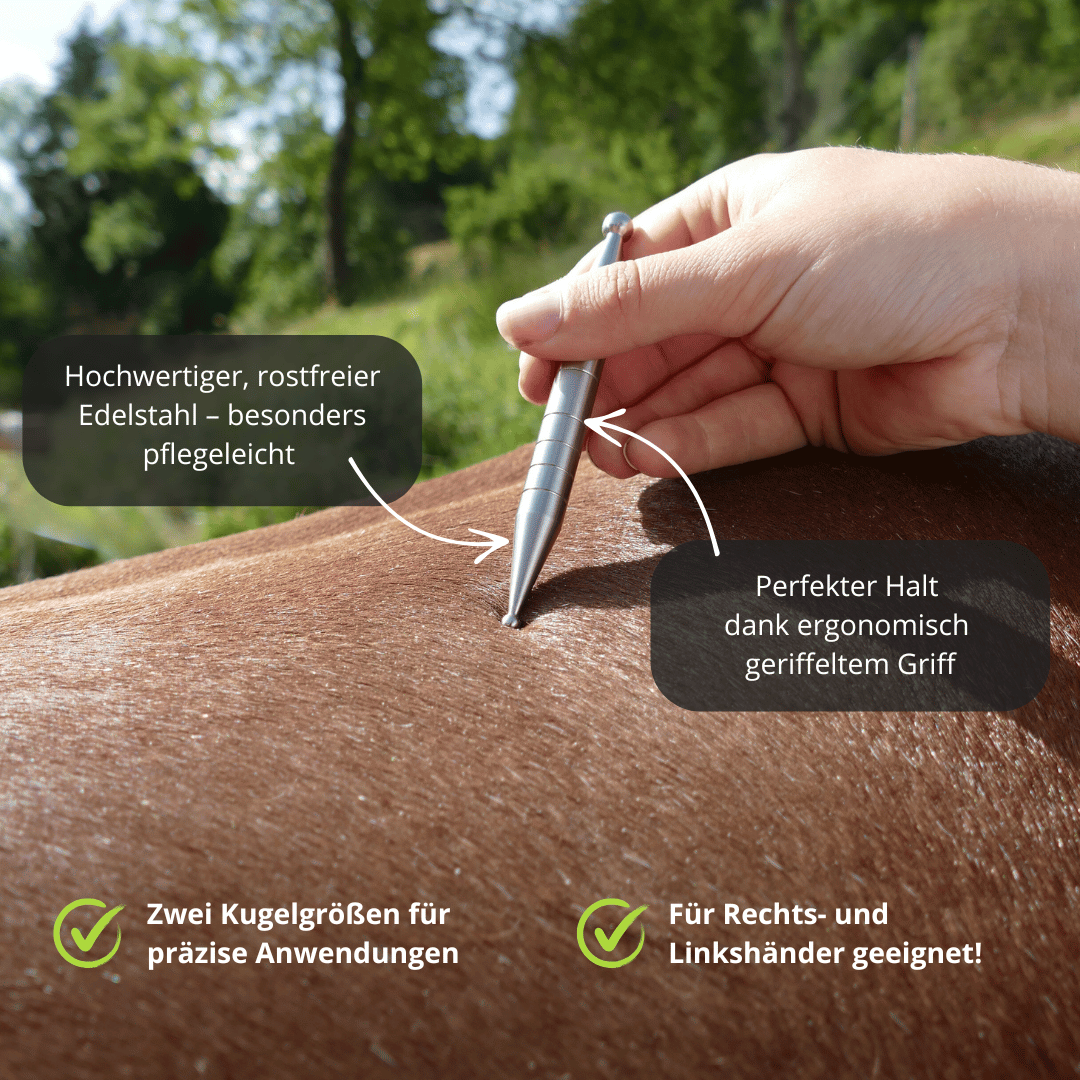 EquiStäbchen : Votre thérapeute équin et bâton d'acupression (2 pièces)