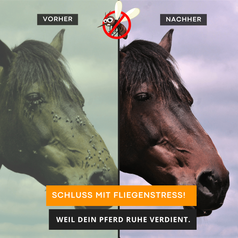 HORSE ZONE Insektenspray für Pferde – mit 100 % naturreinen ätherischen Ölen