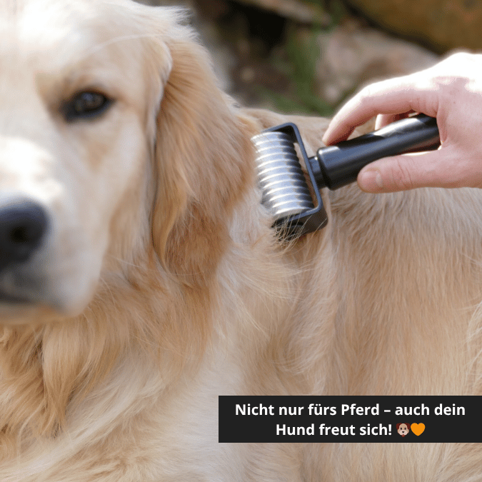 NeedleyRoll Fascia Roller Sensitive Mini – Parfait pour les petits chevaux et les chiens