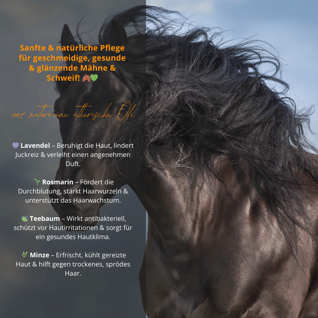 3er Spray Bundle – Entspannung, Insektenschutz & Mähne