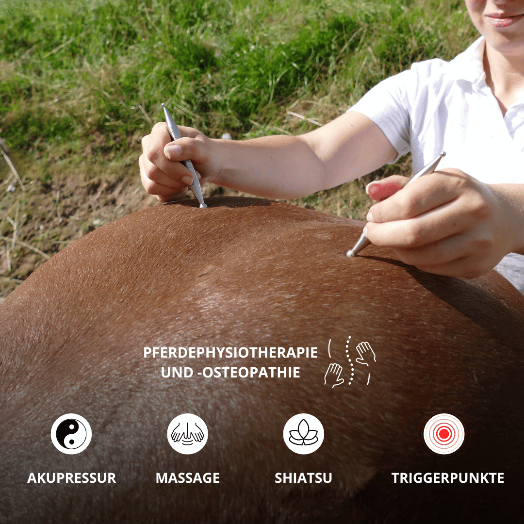 EquiStäbchen : Votre thérapeute équin et bâton d'acupression (2 pièces)