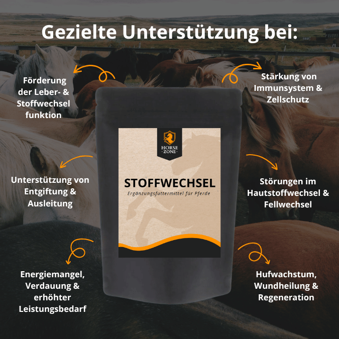 STOFFWECHSEL - Ergänzungsfutter für Pferde 1kg