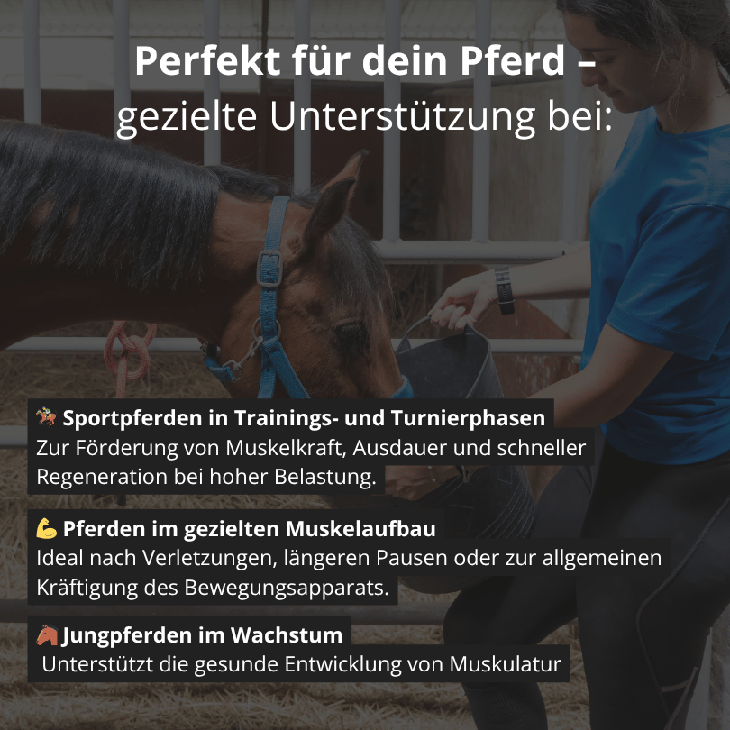 MUSKEL - Ergänzungsfutter für Pferde 1kg