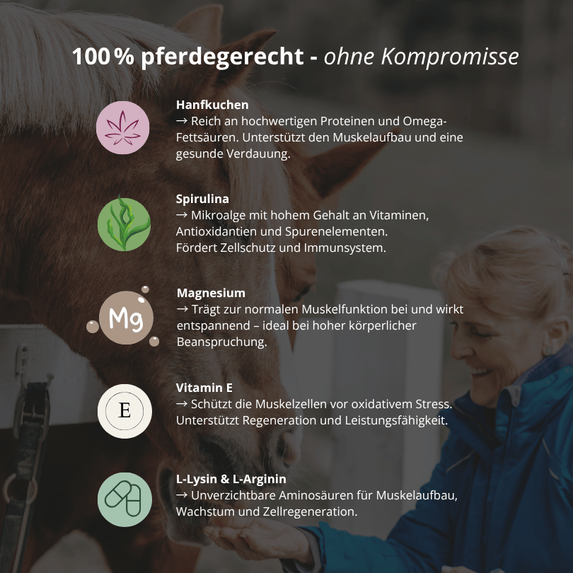 MUSKEL - Ergänzungsfutter für Pferde 1kg