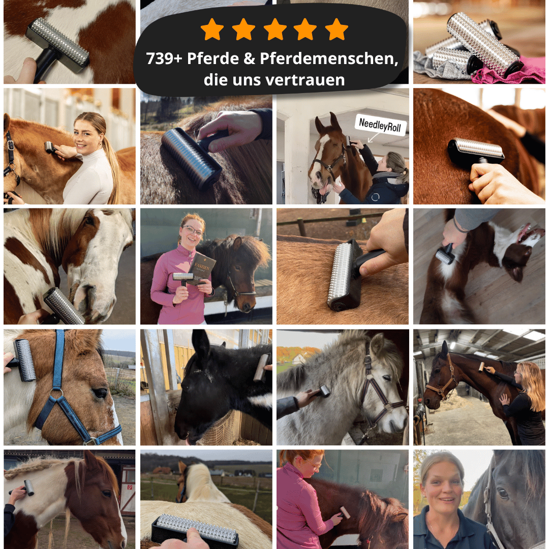 NeedleyRoll Faszienrolle – Für Pferde und Kleinpferde entwickelt