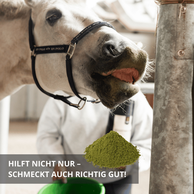 STOFFWECHSEL - Ergänzungsfutter für Pferde 1kg