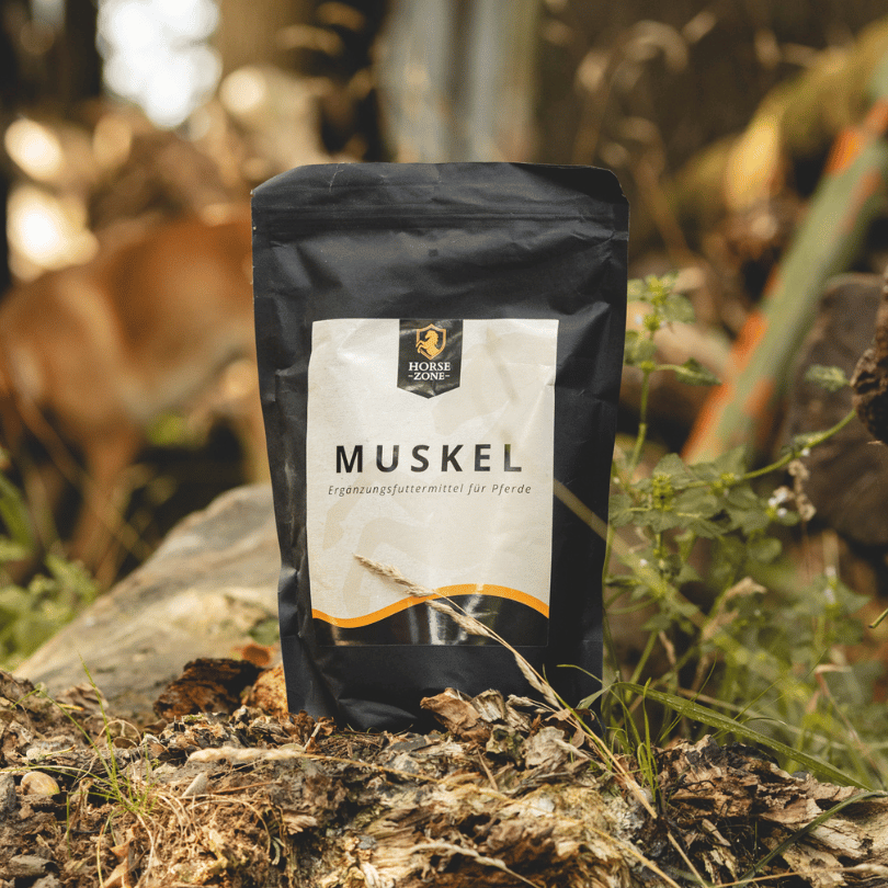 MUSKEL - Ergänzungsfutter für Pferde 1kg
