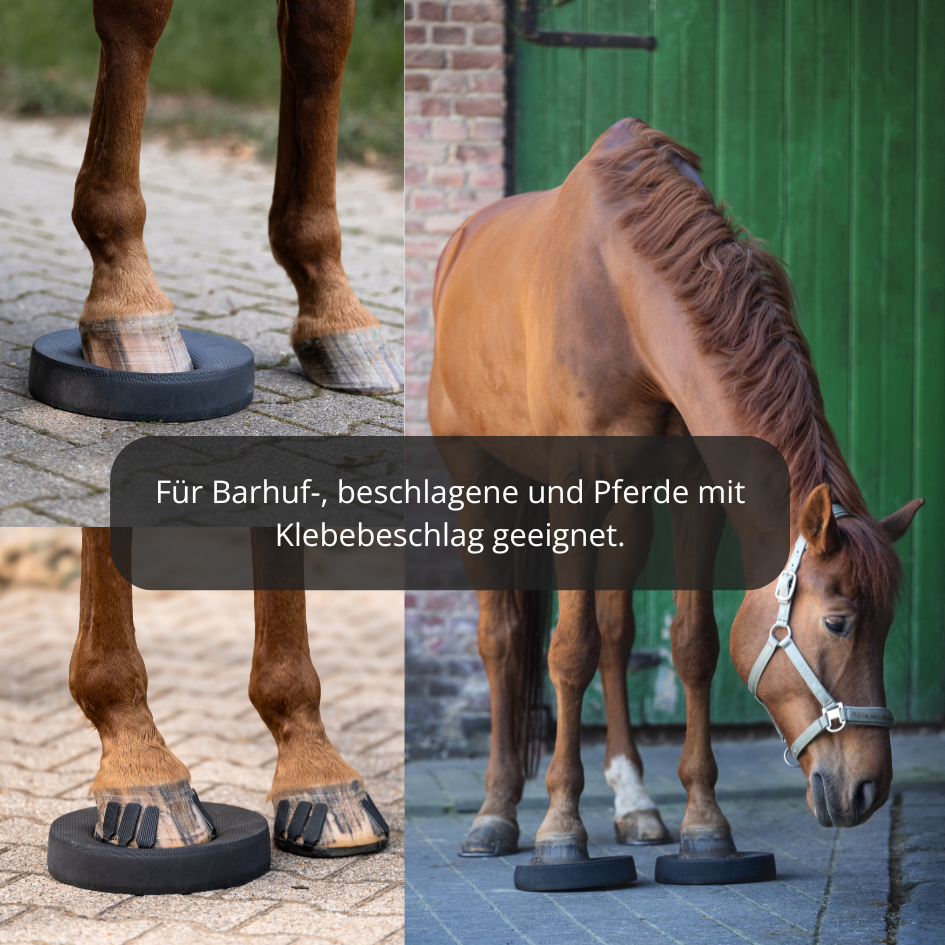 EquiPads – Balance Pads für Pferde