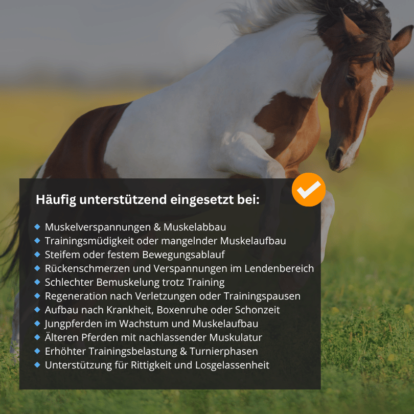 MUSKEL - Ergänzungsfutter für Pferde 1kg