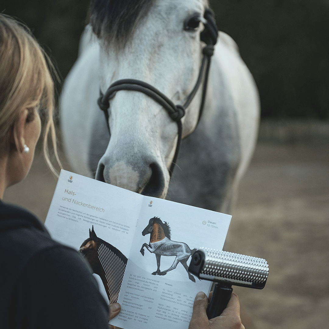 NeedleyRoll & Entspannungsspray für Pferde