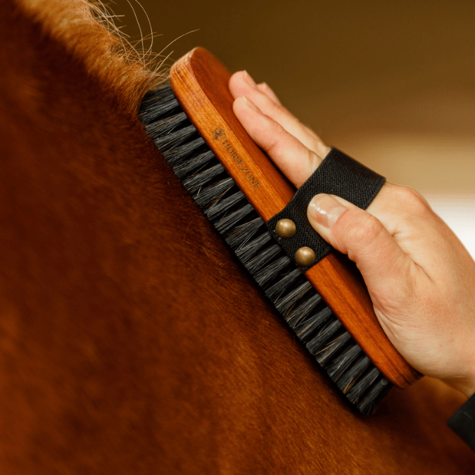 Personalisierte 2-in-1 Rosshaar Kardätsche Premium