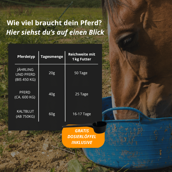 STOFFWECHSEL - Ergänzungsfutter für Pferde 1kg