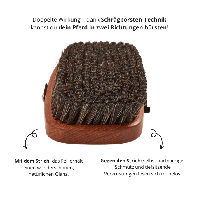 Personalisierte 2-in-1 Rosshaar Kardätsche Premium