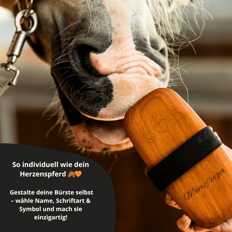 Personalisierte 2-in-1 Rosshaar Kardätsche Premium