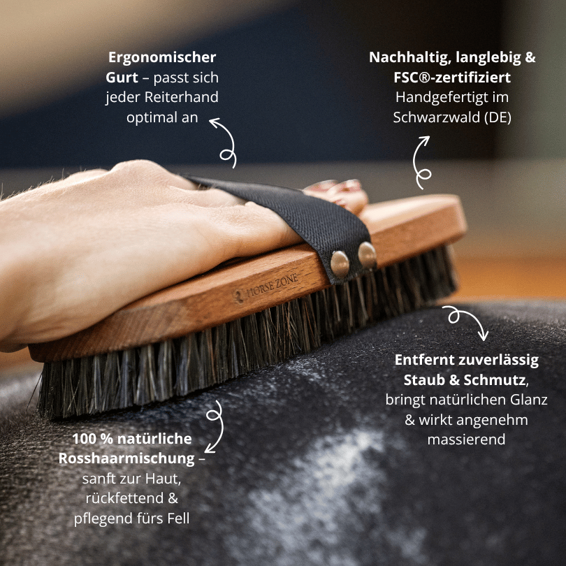 Personalisierte 2-in-1 Rosshaar Kardätsche Premium