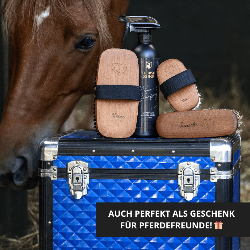 Personalisierte Kopfbürste Pferd Ziegenhaar