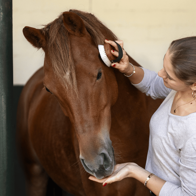Personalisierte Kopfbürste Pferd Ziegenhaar