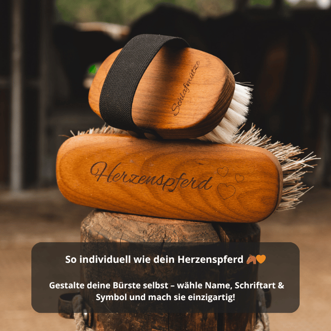 Horse Zone Beauty Bundle